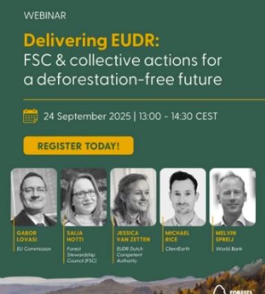Collective Actions