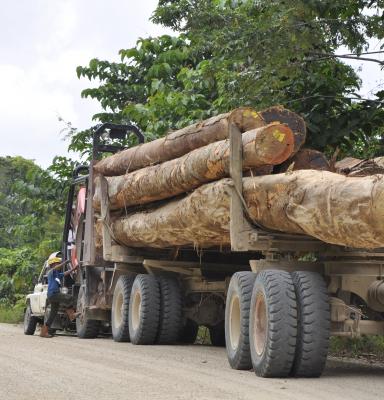 truk kayu